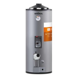 Termotanque Señorial Tgep-50 Family Dual Eléctrico Gas Gris 50 L