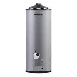 Termotanque Señorial Tts-50 Gas Alta Recuperacion Family Col