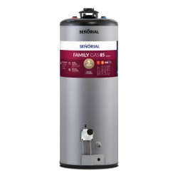 Termotanque Multigas Señorial Family Tszp1-85 Gris Bajo Consumo 85 L