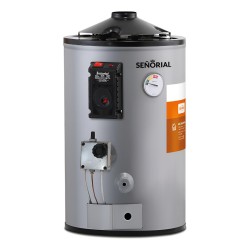 Termotanque Dual Tgep1-30 Gas Eléctrico Solution Señorial 30lts Color Gris