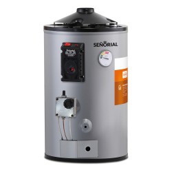 Termotanque Dual Tgep1-30 Gas Eléctrico Solution Señorial 30lts Color Gris