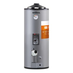 Termotanque Señorial Dual Eléctrico/gas Tgep-50 Gris 50 L