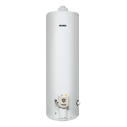 Termotanque 160 Lts. Orbis 160go Gn Conexión Superior Color Blanco